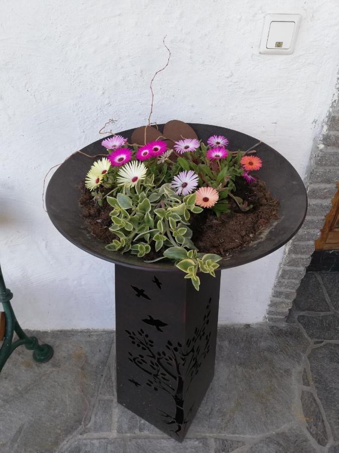 Fruehstueckspension Alpenrose Bed & Breakfast Iselsberg Dış mekan fotoğraf