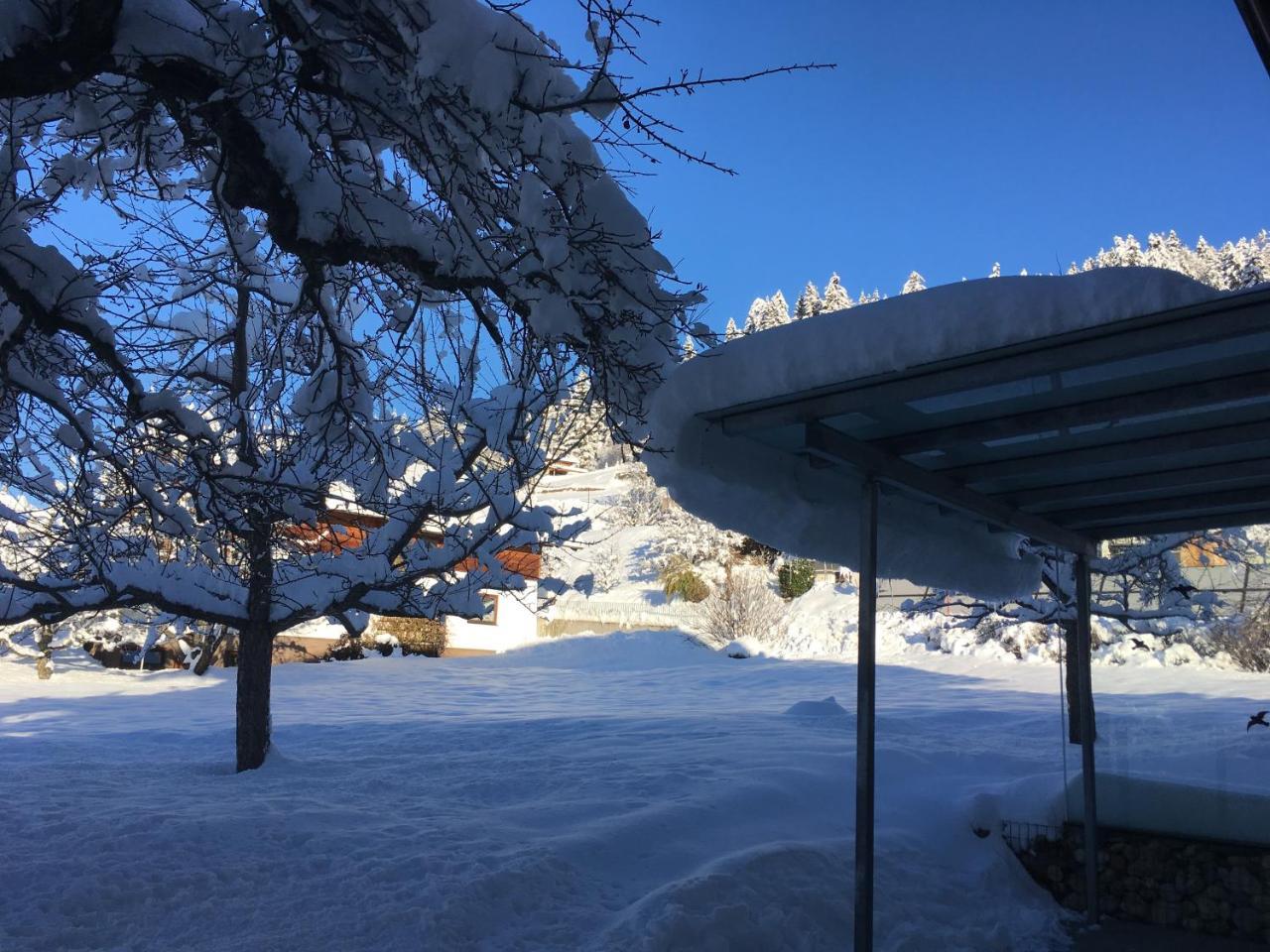 Fruehstueckspension Alpenrose Bed & Breakfast Iselsberg Dış mekan fotoğraf